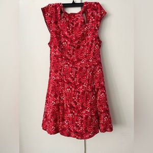 Red dress American Eagle